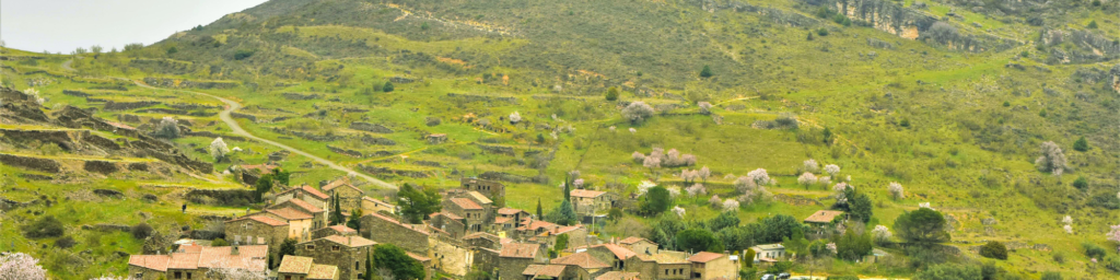 The women of Aragón